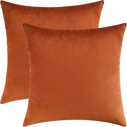 Mixhug Juego de 2 fundas de almohada decorativas de terciopelo, fundas de almohada para sofá y cama, color naranja quemado, 50 x 50 cm